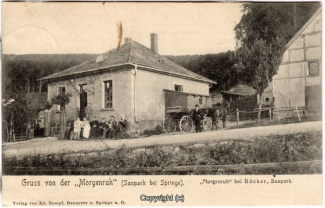 2260A-Saupark259-Morgenruhe-1906-Scan-Vorderseite.jpg