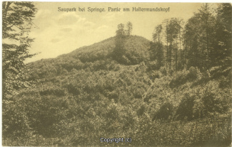 2745A-Saupark138-Hallermundskopf-1919-Scan-Vorderseite.jpg