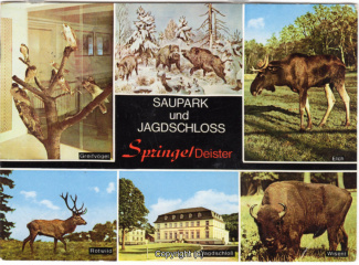 6310A-Saupark332-Multibilder-Wisentgehege-Schloss-1978-Scan-Vorderseite.jpg
