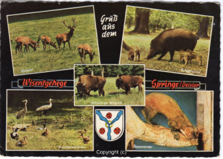 6360A-Saupark338-Multibilder-Wisentgehege-1975-Scan-Vorderseite.jpg