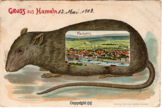 1110A-Hameln1447-Panorama-Ratte-1909-Scan-Vorderseite.jpg