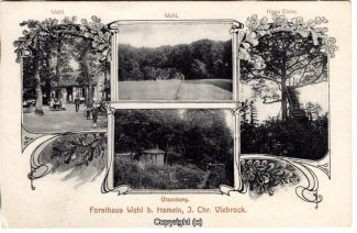 9410A-Hameln1777-Multibilder-Forsthaus-Wehl-1921-Scan-Vorderseite.jpg