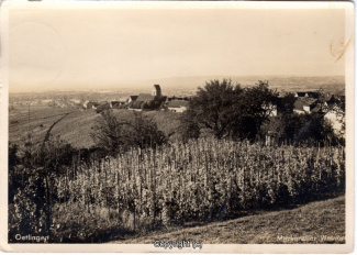 6020A-Oetlingen002-Panorama-Ort-Weinbau-1937-Scan-Vorderseite.jpg