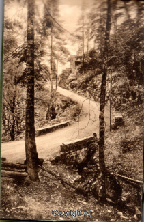 0990A-Hochblauen037_09-Fahrweg-Scan-Vorderseite.jpg 0990A-Hochblauen037_09-Fahrweg-Scan-Vorderseite.jpg