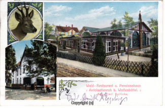 0610A-Wolfenbuettel025-Multibilder-Gasthaus-Antoinettenruh-1910-Scan-Vorderseite.jpg