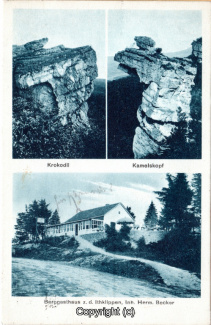 4025A-Ith113-Multibilder-Ithrestaurant-Krokodil-Kamelkopf-1930-Scan-Vorderseite.jpg