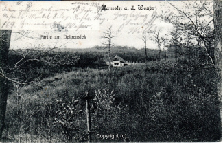 7050A-Hameln1793-Panorama-Deipensiek-1907-Scan-Vorderseite.jpg