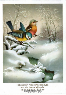 8530A-Grusskarten091-Weihnachtszeit-1954-Scan-Vorderseite.jpg