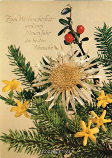8750A-Grusskarten097-Weihnachtszeit-1980-Scan-Vorderseite.jpg