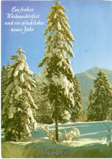 8850A-Grusskarten102-Weihnachtszeit-1984-Scan-Vorderseite.jpg