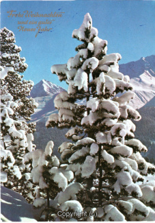 8855A-Grusskarten103-Weihnachtszeit-1979-Scan-Vorderseite.jpg