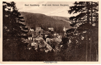 0250A-BadHarzburg006-Panorama-Ort-Burgbergblick-Scan-Vorderseite.jpg