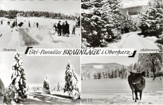 2550A-Braunlage030-Multibilder-Ort-Umgebung-Winter-1960-Scan-Vorderseite.jpg