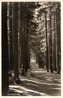 4650A-Braunlage036-Domweg-1935-Scan-Vorderseite.jpg