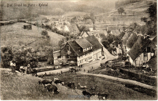 0050A-BadGrund003-Panorama-Ort-1927-Scan-Vorderseite.jpg