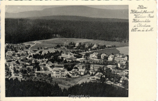 0190A-Hahnenklee007-Panorama-Ort-1934-Scan-Vorderseite.jpg