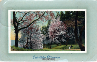 7620A-Grusskarten122-Pfingsten-lackiert-1908-Scan-Vorderseite.jpg