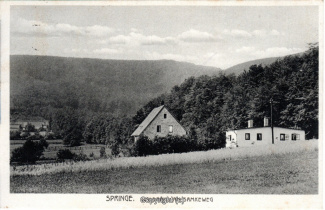 0770A-Springe546-Panorama-Waldrand-am-Samkeweg-1932-Scan-Vorderseite.jpg